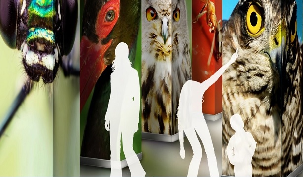 Besuch der Ausstellung des Nationalpark- Zentrum Eifel - „Wildnis(t)räume“ – für biologische Vielfalt und Nachhaltigkeit