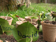 Naturpädagische Fortbildung: Frühlingswald - Jahreszeitenerleben mit Kindern
