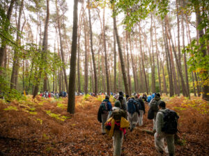 Aktivistinnen gehen durch den Wald