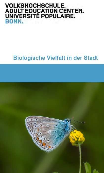 Grüner Stadtspaziergang - Flora und Fauna an Wegen und Wänden