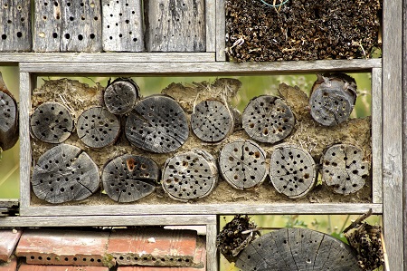 Workshop im Tannenbuschhaus: Wir bauen ein Insektenhotel