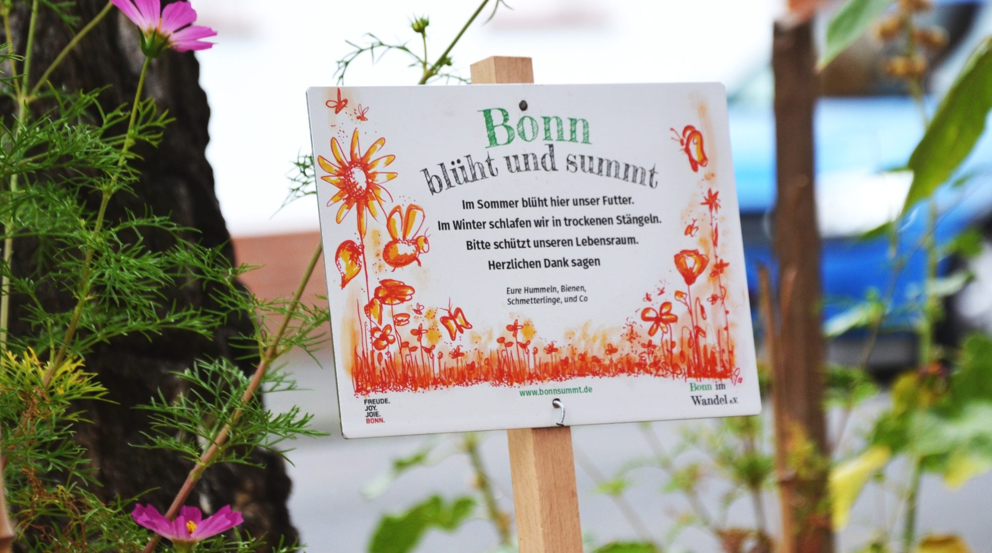 Blühschild von Bonn blüht und summt auf eine bunten Baumscheibe
