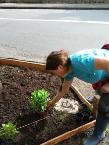 Frau kümmert sich um eine frisch bepflanzte Baumscheibe