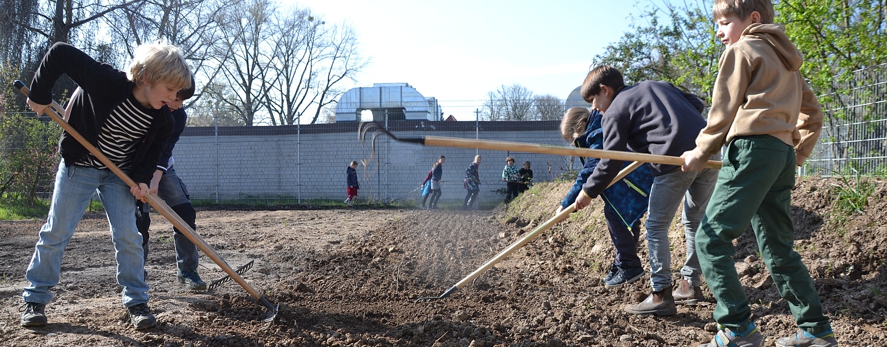 Schülerinnen bereiten Boden für Saatgut vor