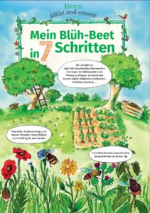 Cover-MeinBlühbeetiin7Schritten