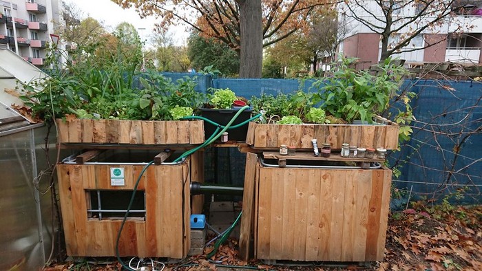 Gardening for Future - Free workshop at the Tannenbusch House