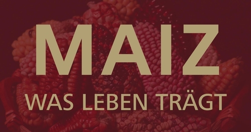 Webinar: Mais- weit mehr als ein Nahrungsmittel