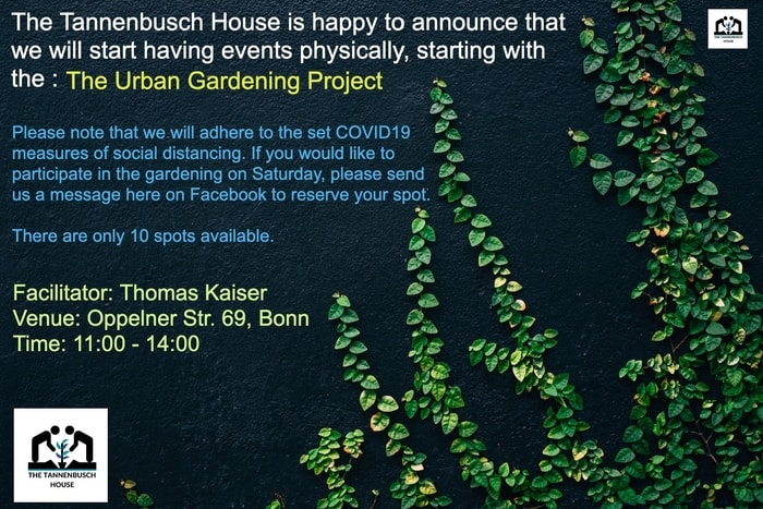 Urban Gardening // Gemeinsames Gärtnern