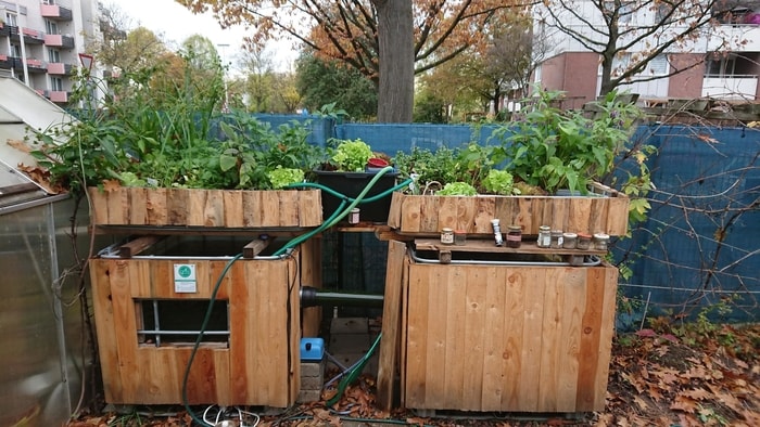 Gardening for Future