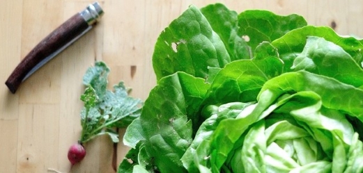 Vortragsreihe Nachhaltigkeit, Umwelt-, Klima- und Naturschutz: Einkauf und Ernährung umweltgerecht, regional uns saisonal