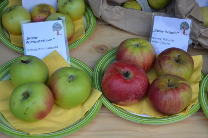 Apfelsaftaktion - Obst aus eigenen Äpfeln