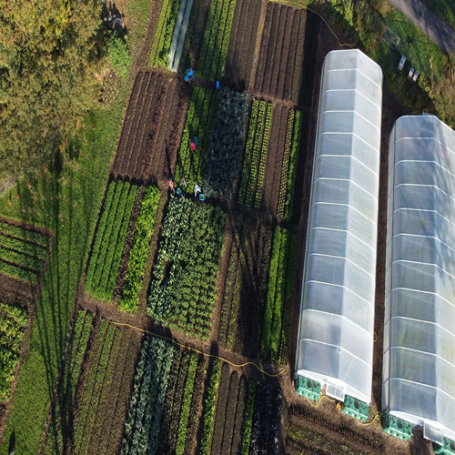 Permakultur und Gartenpraxis Tageskurs