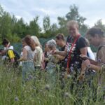 Blühbotschafter_innen gucken sich Blüten des Wiesenknopfes an, die von der Biostation angebaut werden