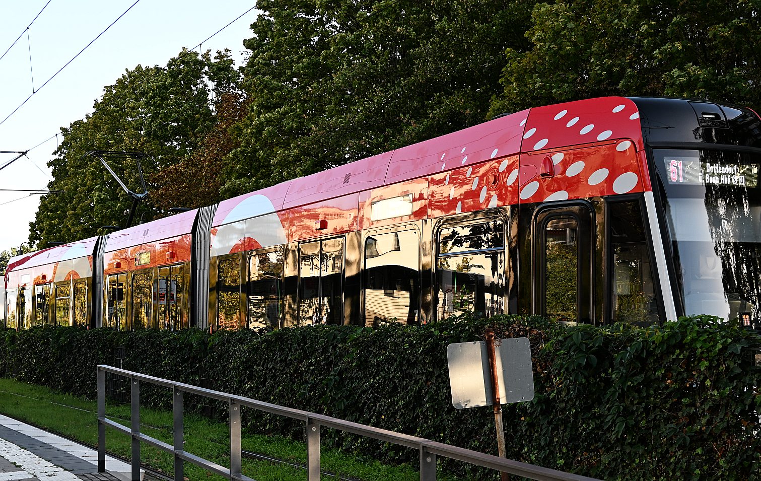 Rote Straßenbahn mit weißen Punkten an der Endhaltestelle mit grüner Hecke und Bäumen